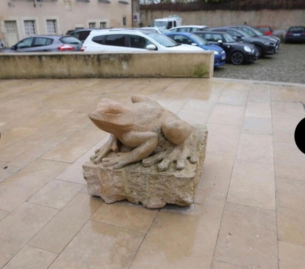 "La Grenouille" Centre Historique - Les Terres Du Roy Avallon Exterior foto